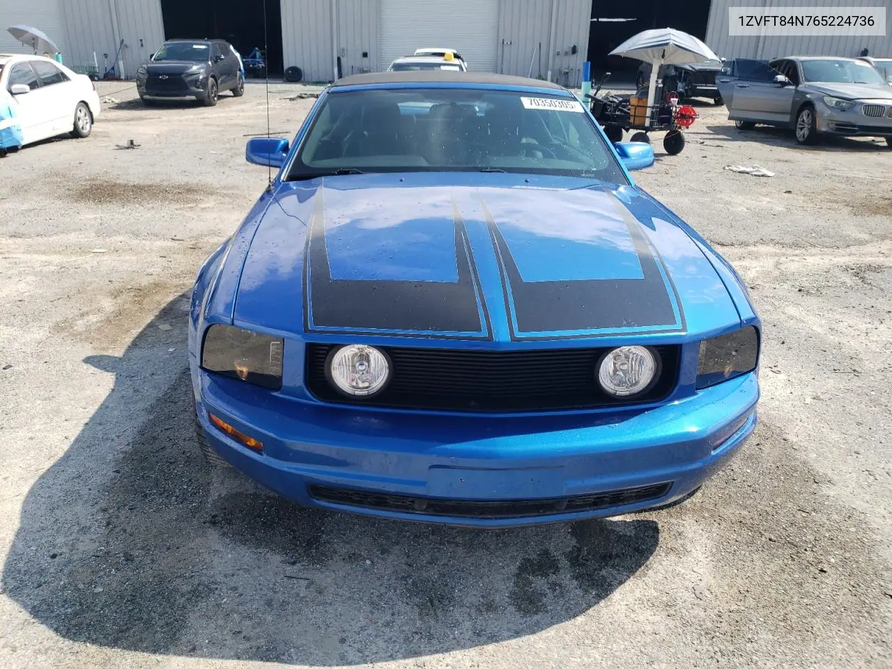 1ZVFT84N765224736 2006 Ford Mustang