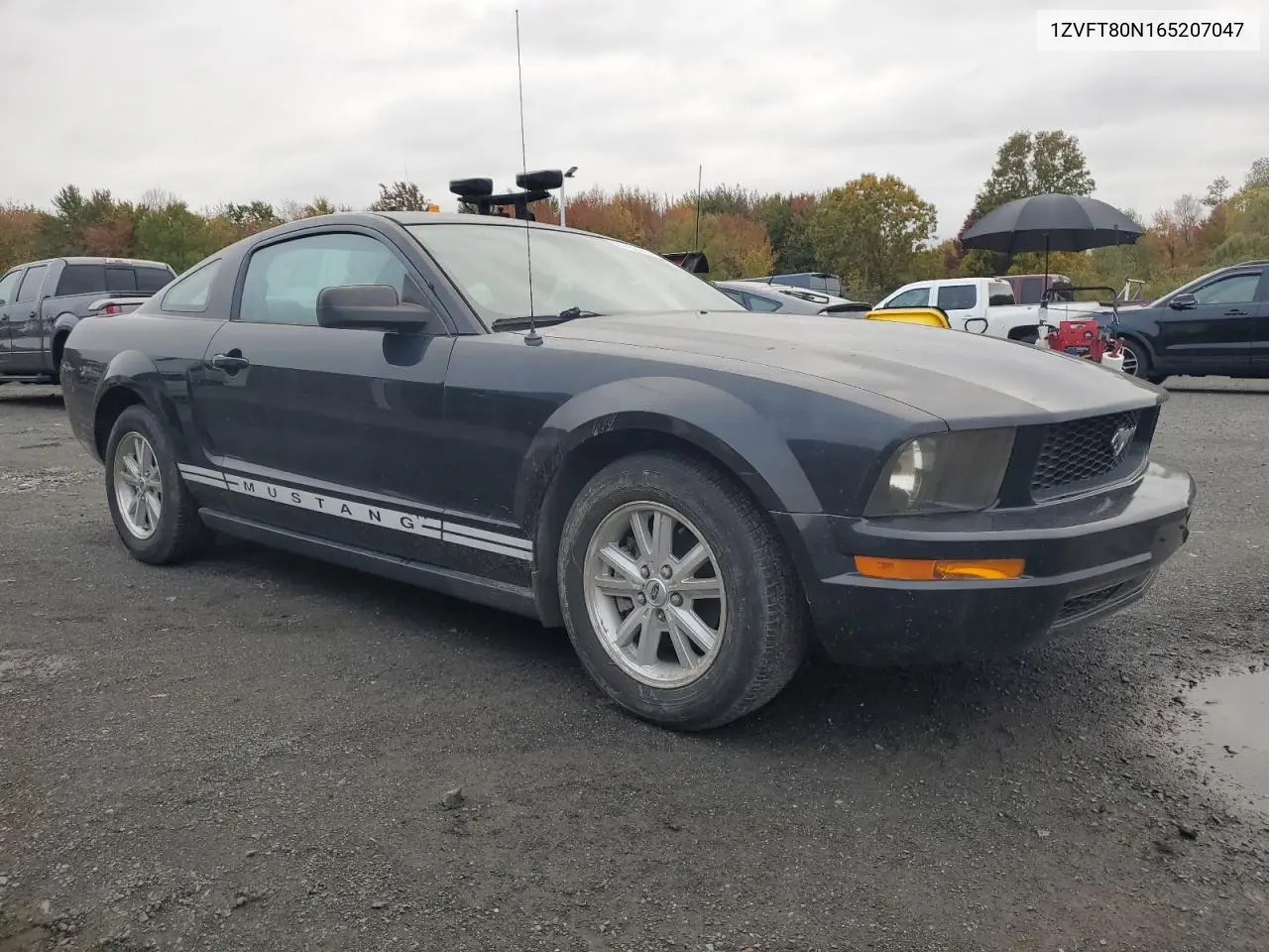 1ZVFT80N165207047 2006 Ford Mustang