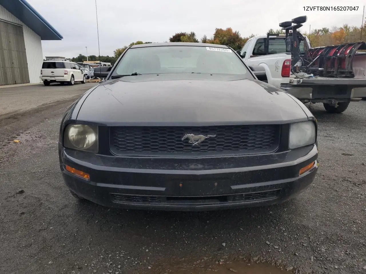 1ZVFT80N165207047 2006 Ford Mustang