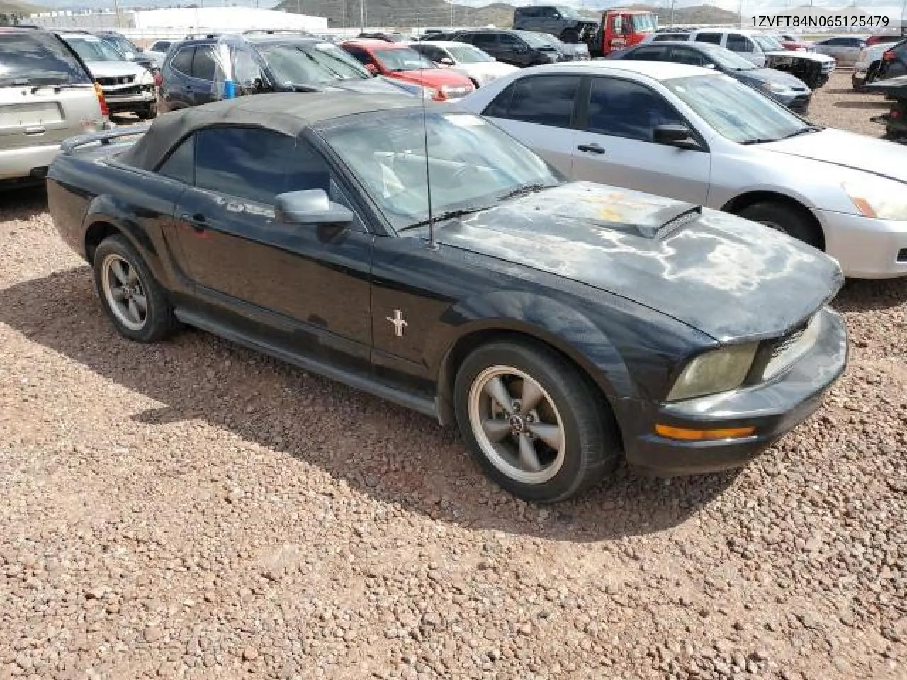 2006 Ford Mustang VIN: 1ZVFT84N065125479 Lot: 88999935