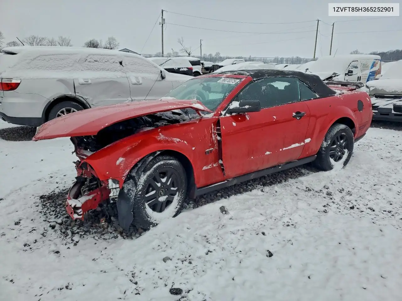 1ZVFT85H365252901 2006 Ford Mustang Gt