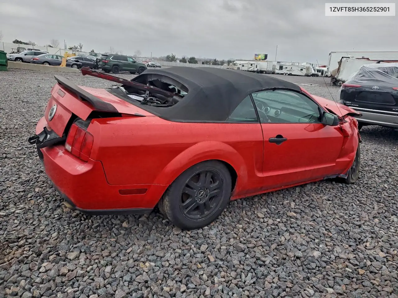 1ZVFT85H365252901 2006 Ford Mustang Gt