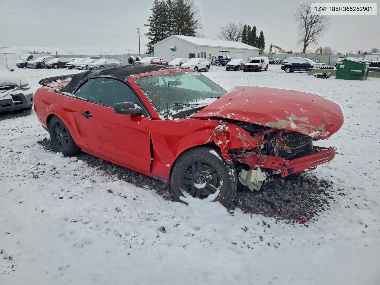 1ZVFT85H365252901 2006 Ford Mustang Gt
