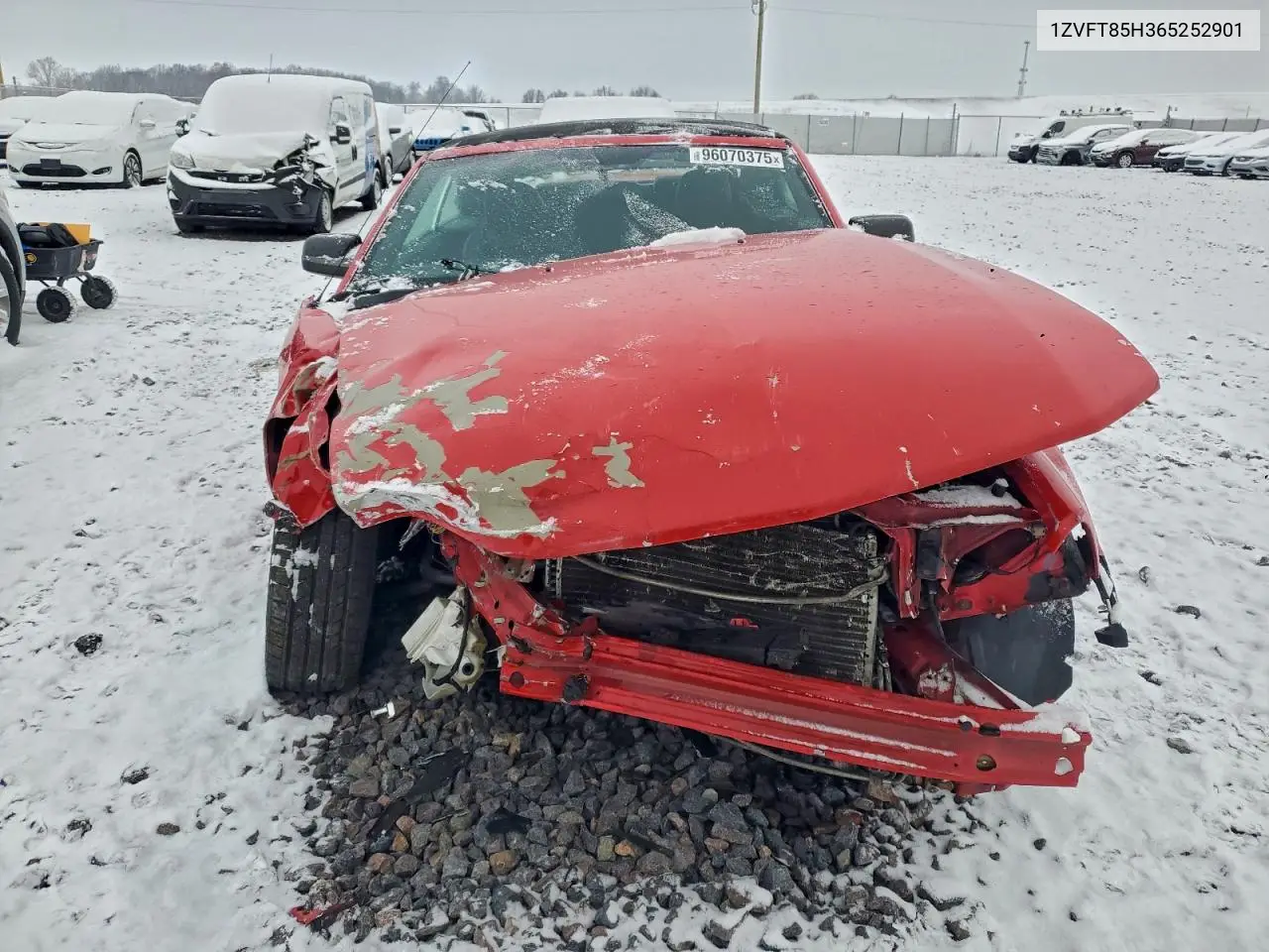 1ZVFT85H365252901 2006 Ford Mustang Gt