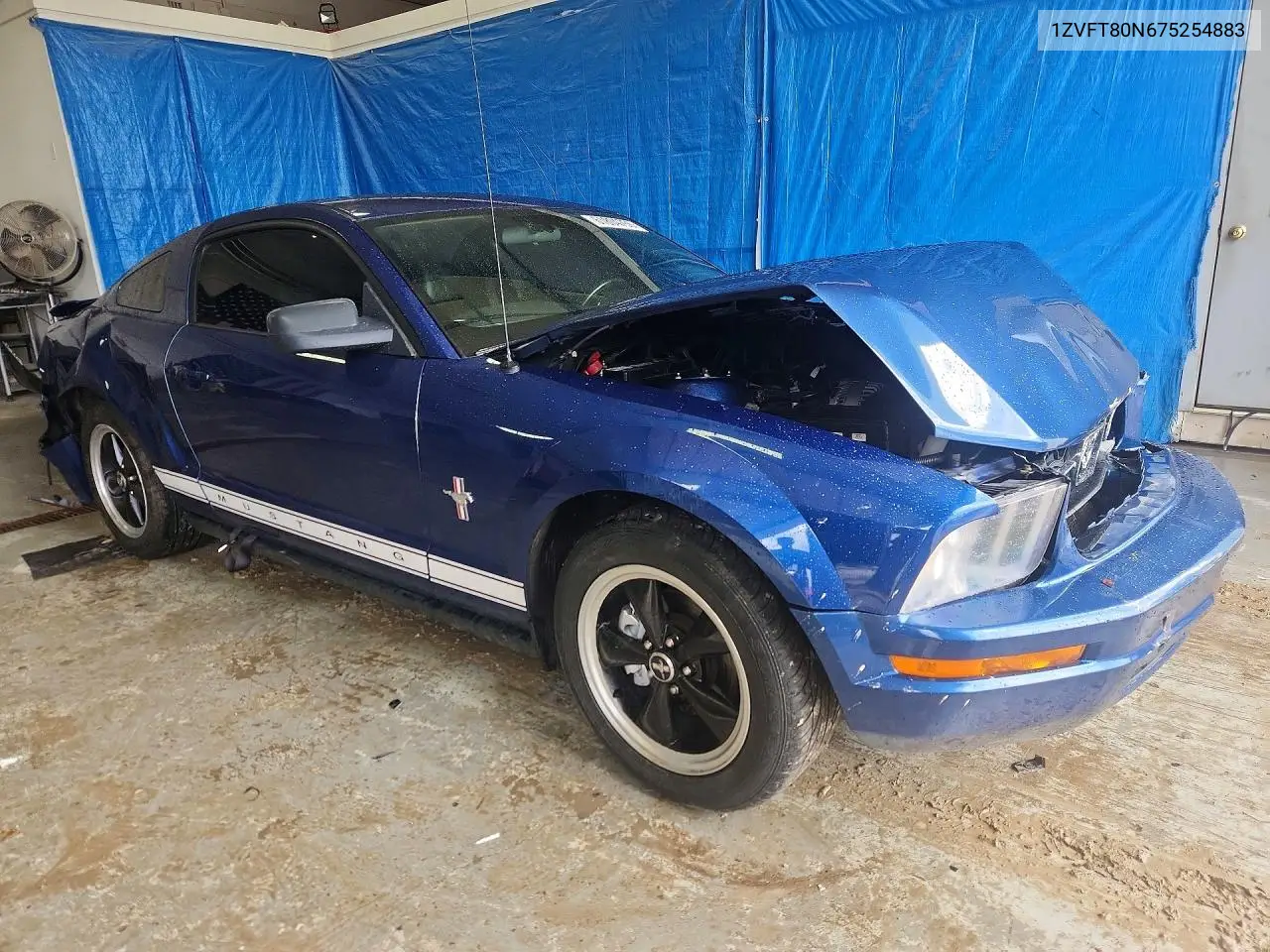 2007 Ford Mustang VIN: 1ZVFT80N675254883 Lot: 61804756