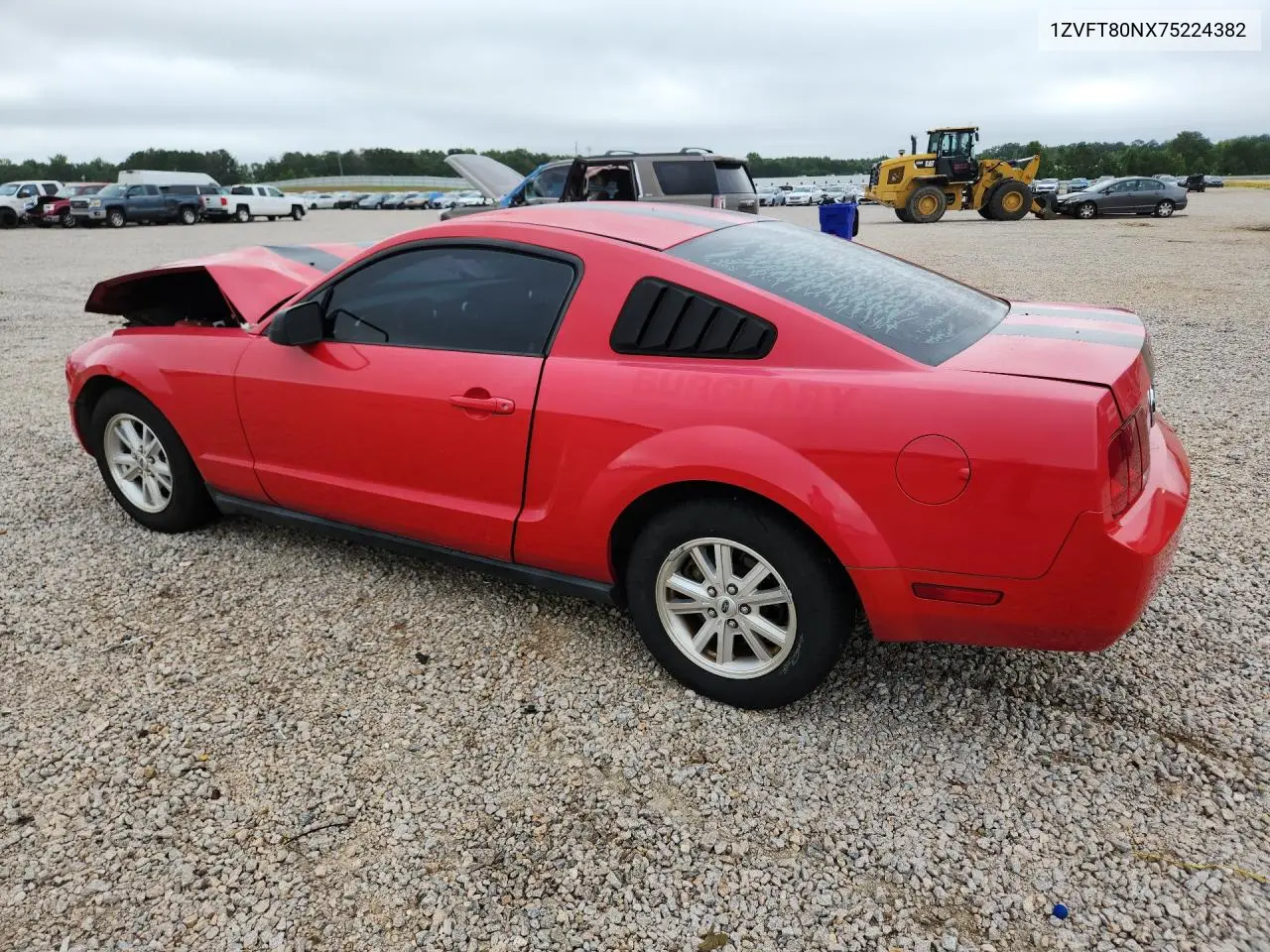 2007 Ford Mustang VIN: 1ZVFT80NX75224382 Lot: 62135626