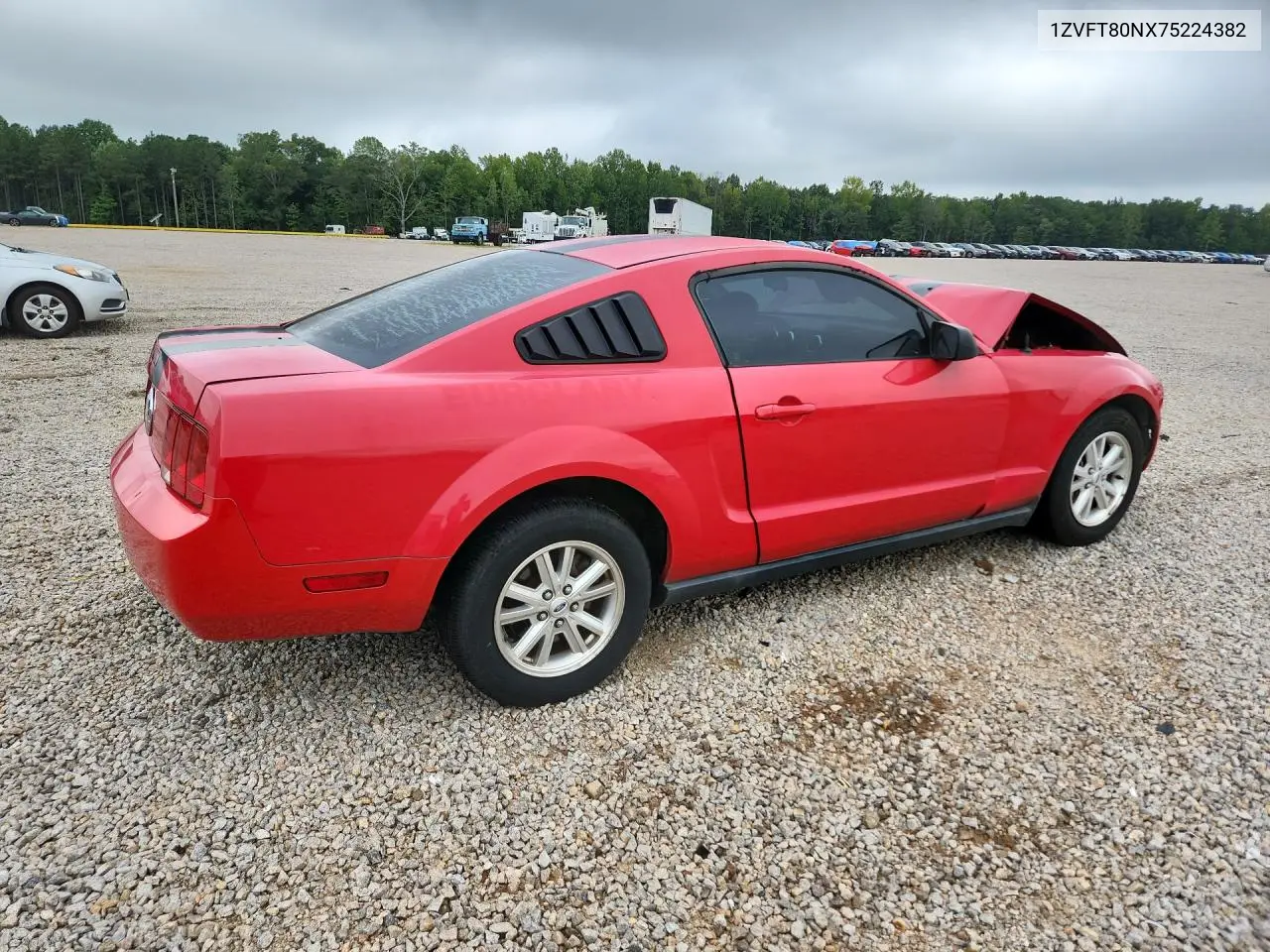 2007 Ford Mustang VIN: 1ZVFT80NX75224382 Lot: 62135626