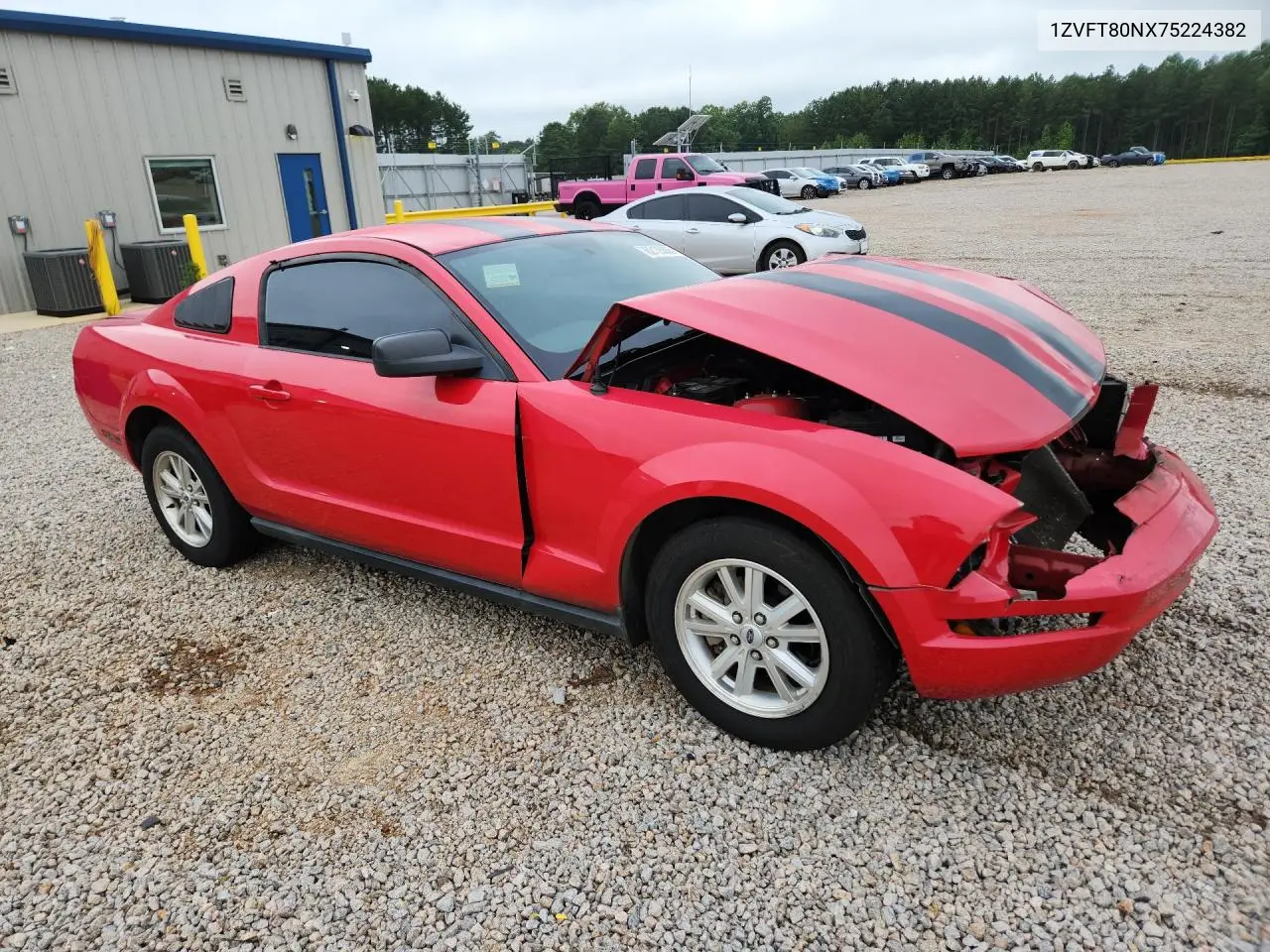 2007 Ford Mustang VIN: 1ZVFT80NX75224382 Lot: 62135626
