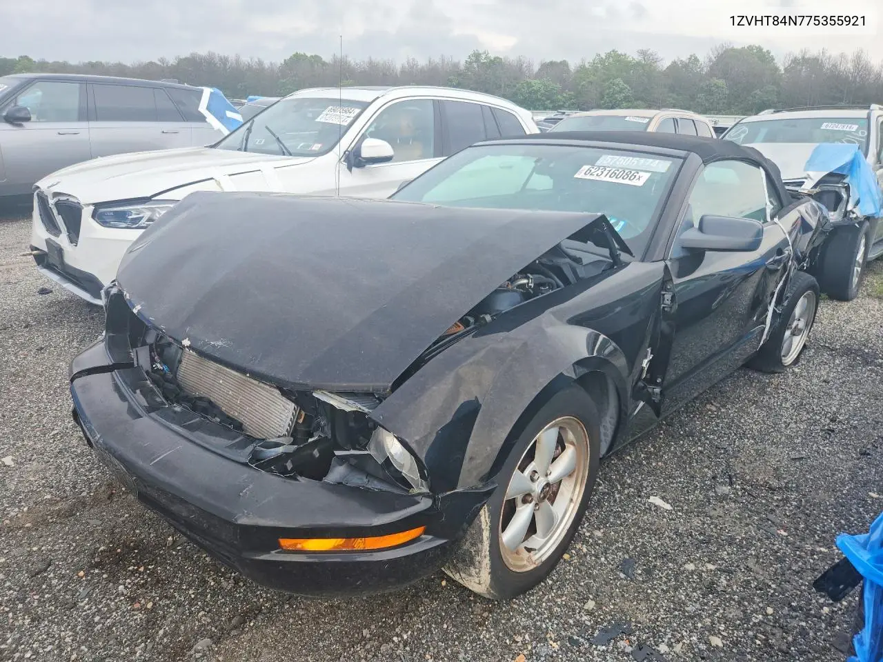 2007 Ford Mustang VIN: 1ZVHT84N775355921 Lot: 62316086