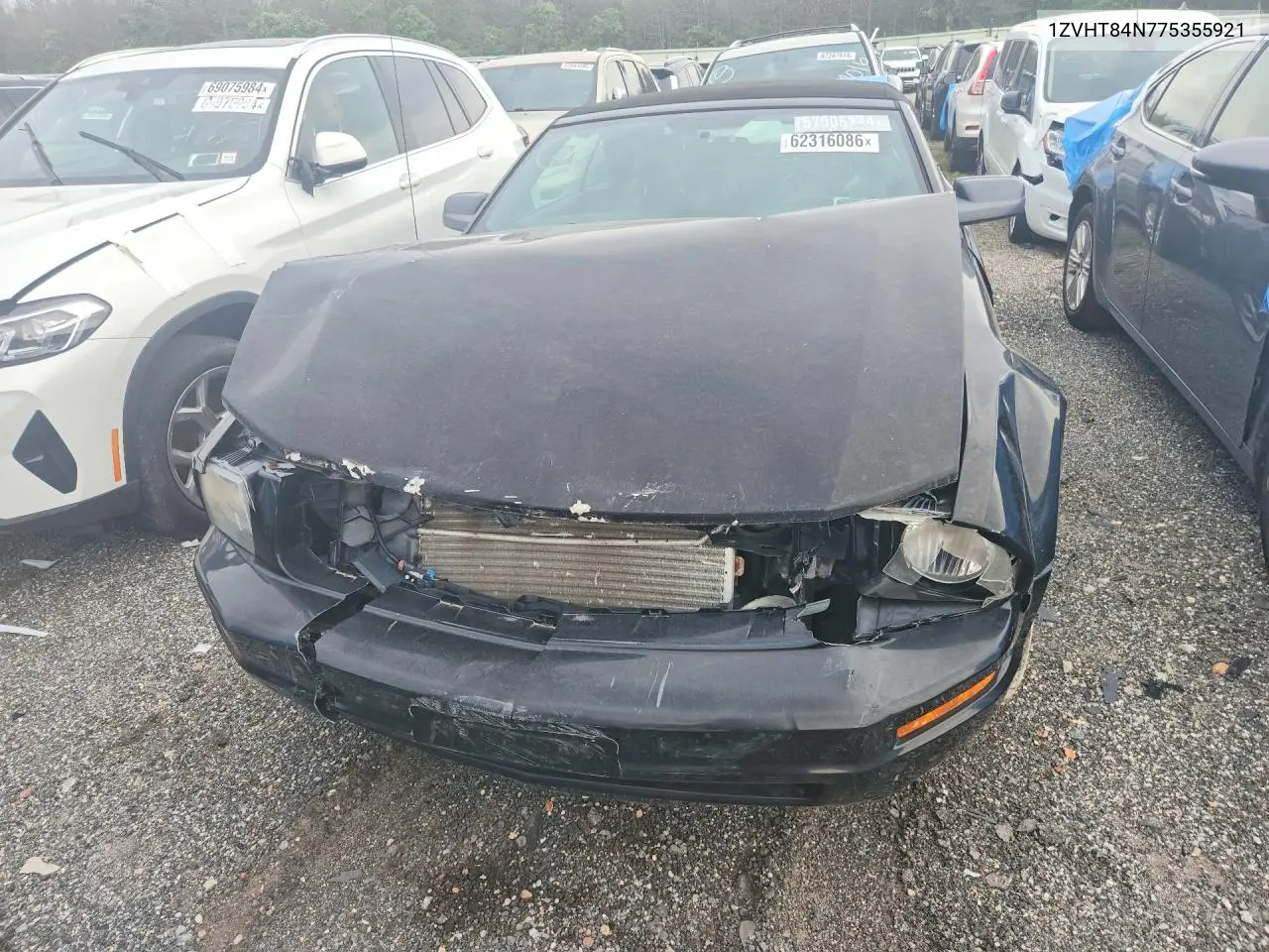 2007 Ford Mustang VIN: 1ZVHT84N775355921 Lot: 62316086