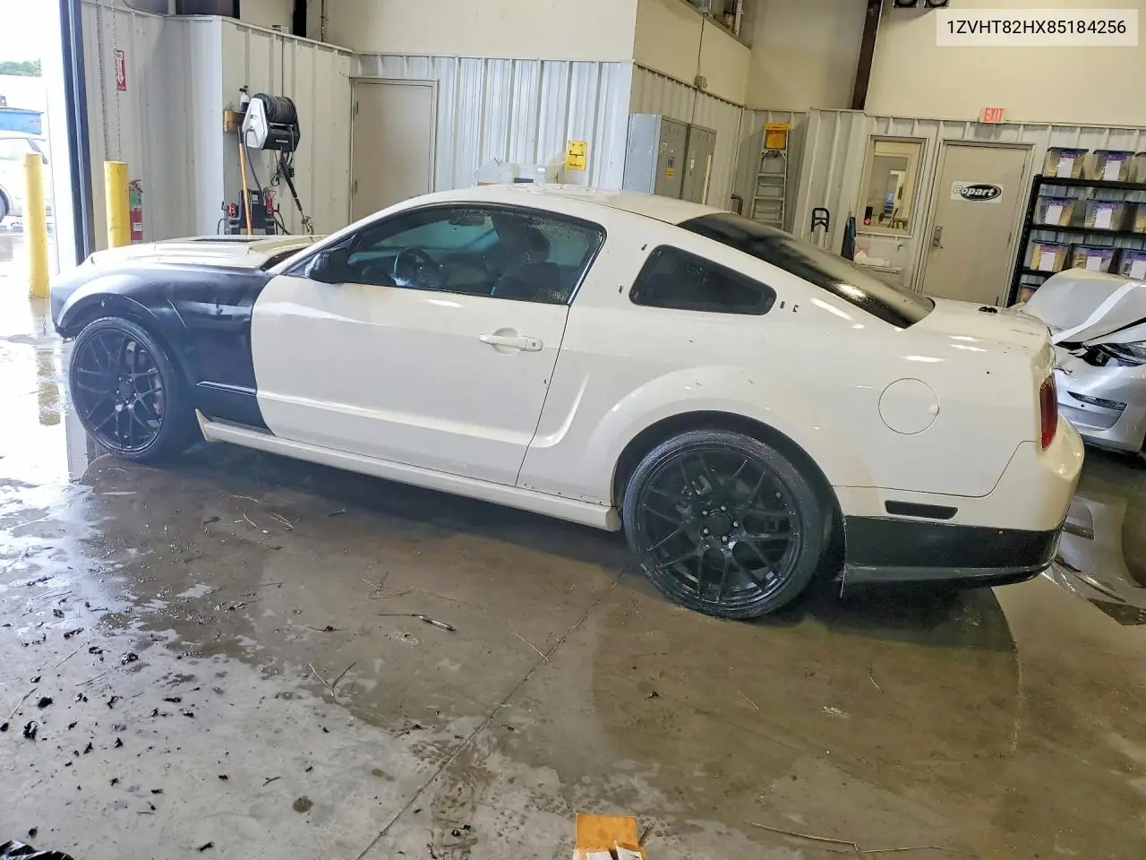 2008 Ford Mustang Gt VIN: 1ZVHT82HX85184256 Lot: 58907506