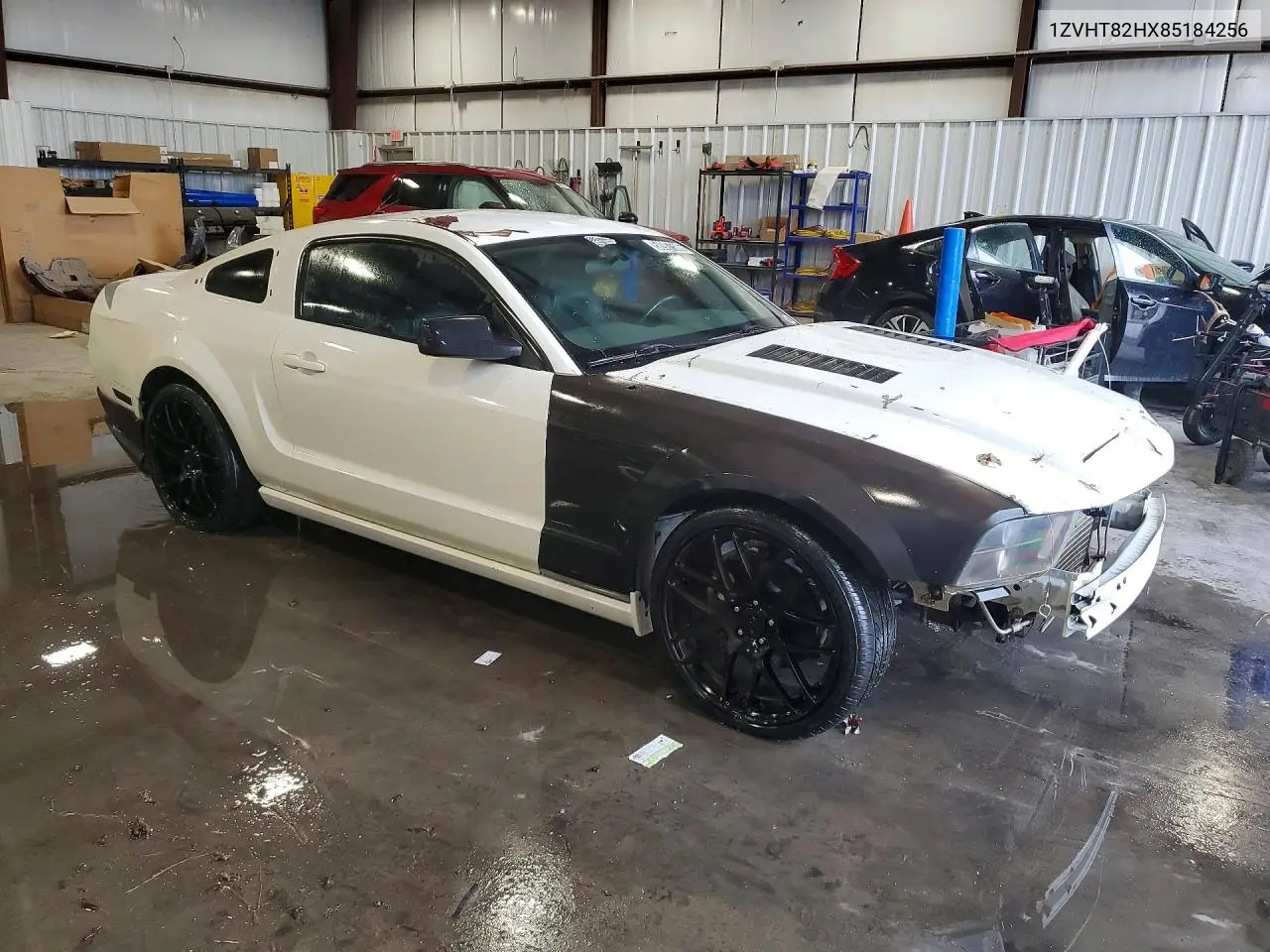2008 Ford Mustang Gt VIN: 1ZVHT82HX85184256 Lot: 58907506