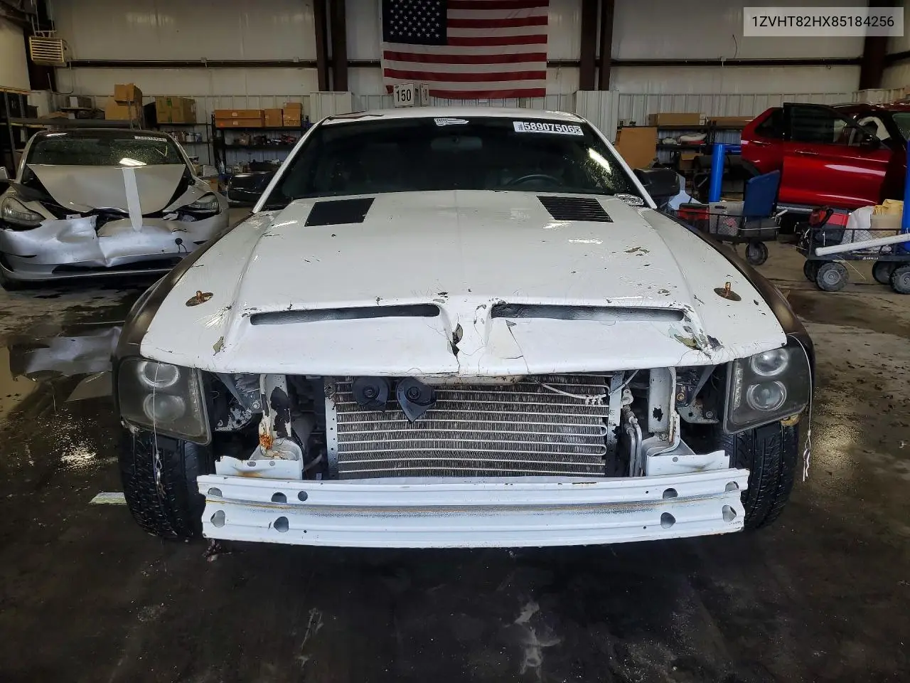 2008 Ford Mustang Gt VIN: 1ZVHT82HX85184256 Lot: 58907506