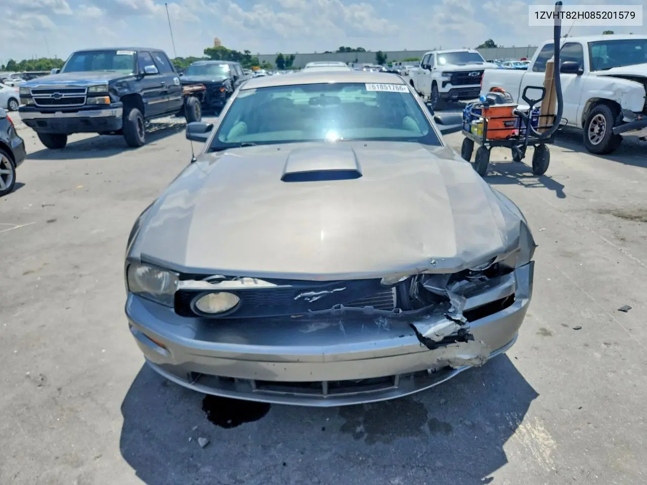 2008 Ford Mustang Gt VIN: 1ZVHT82H085201579 Lot: 61851766