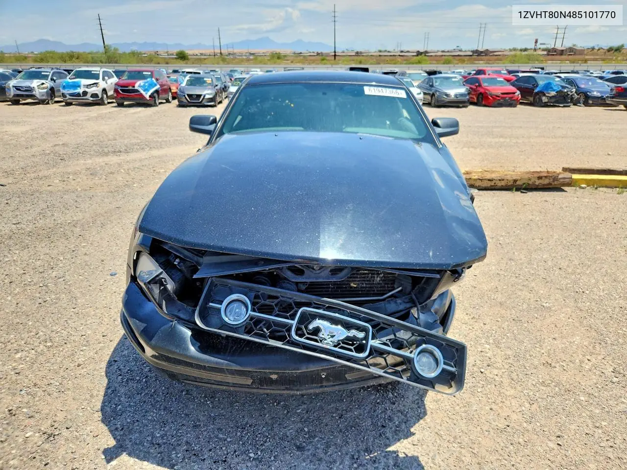 2008 Ford Mustang VIN: 1ZVHT80N485101770 Lot: 61947366