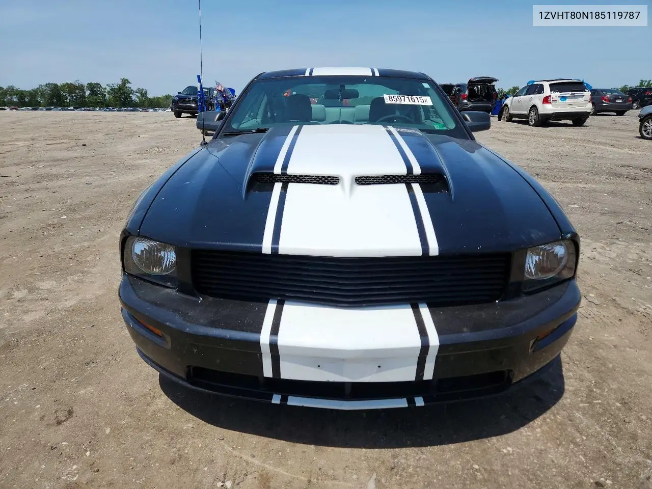 2008 Ford Mustang VIN: 1ZVHT80N185119787 Lot: 85971615