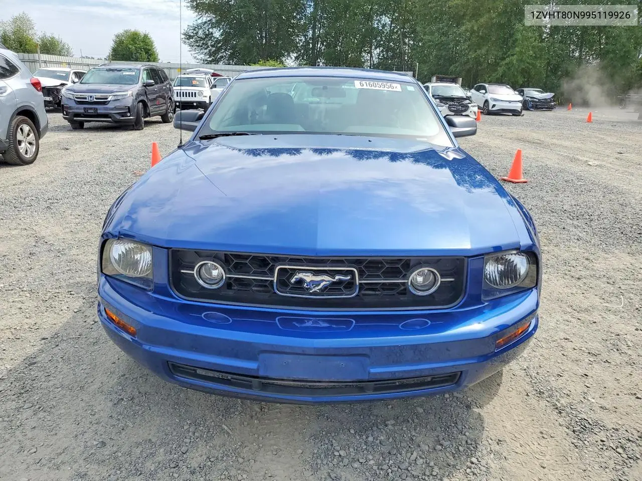 2009 Ford Mustang VIN: 1ZVHT80N995119926 Lot: 61605956