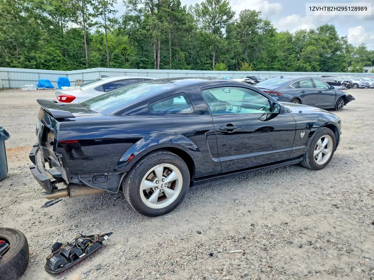 2009 Ford Mustang Gt VIN: 1ZVHT82H295128989 Lot: 61872576