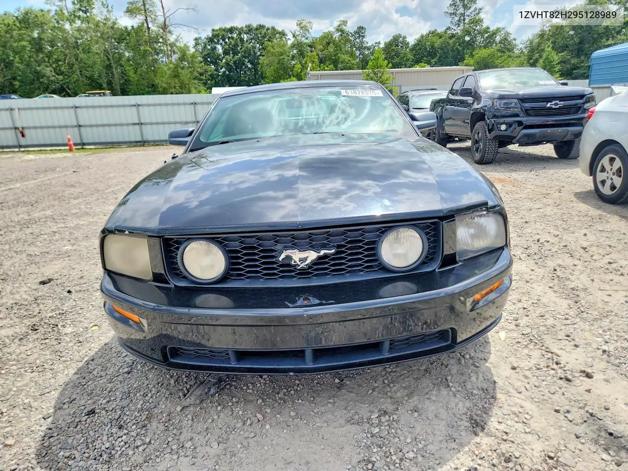 2009 Ford Mustang Gt VIN: 1ZVHT82H295128989 Lot: 61872576