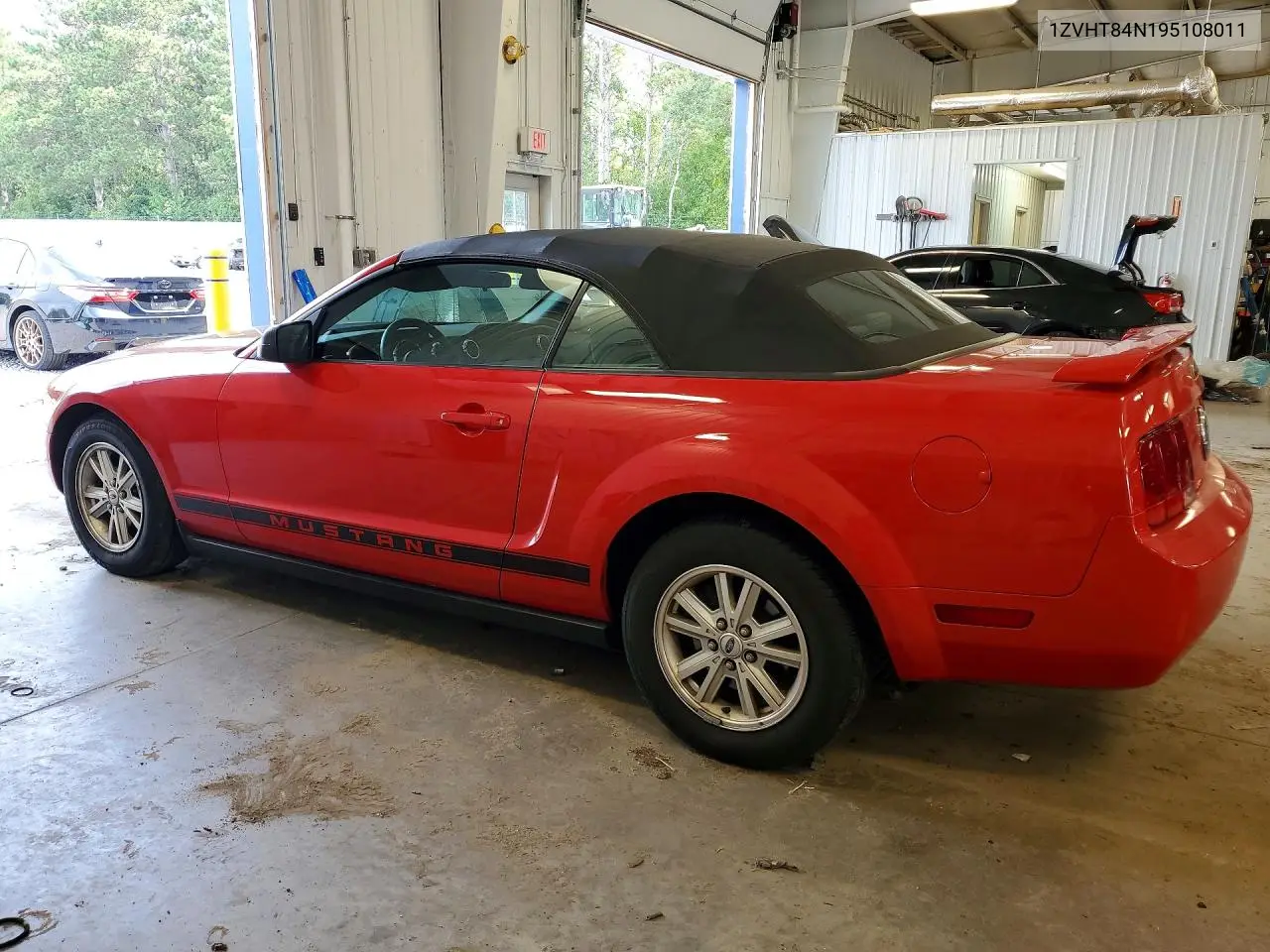 2009 Ford Mustang VIN: 1ZVHT84N195108011 Lot: 61954076