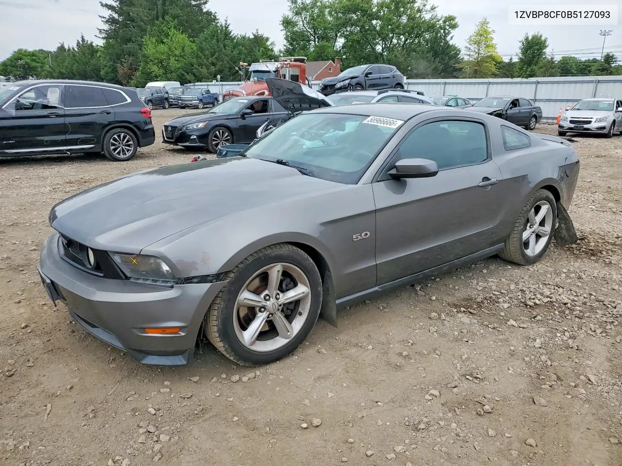 2011 Ford Mustang Gt VIN: 1ZVBP8CF0B5127093 Lot: 58966666
