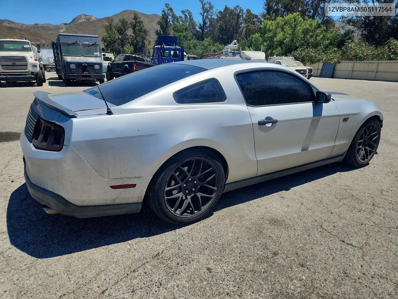 2011 Ford Mustang VIN: 1ZVBP8AM5B5117564 Lot: 60477286