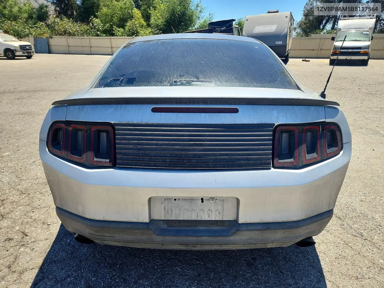2011 Ford Mustang VIN: 1ZVBP8AM5B5117564 Lot: 60477286