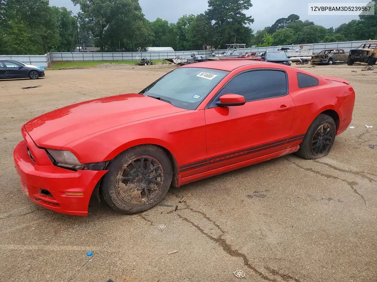 2013 Ford Mustang VIN: 1ZVBP8AM3D5239567 Lot: 56746806