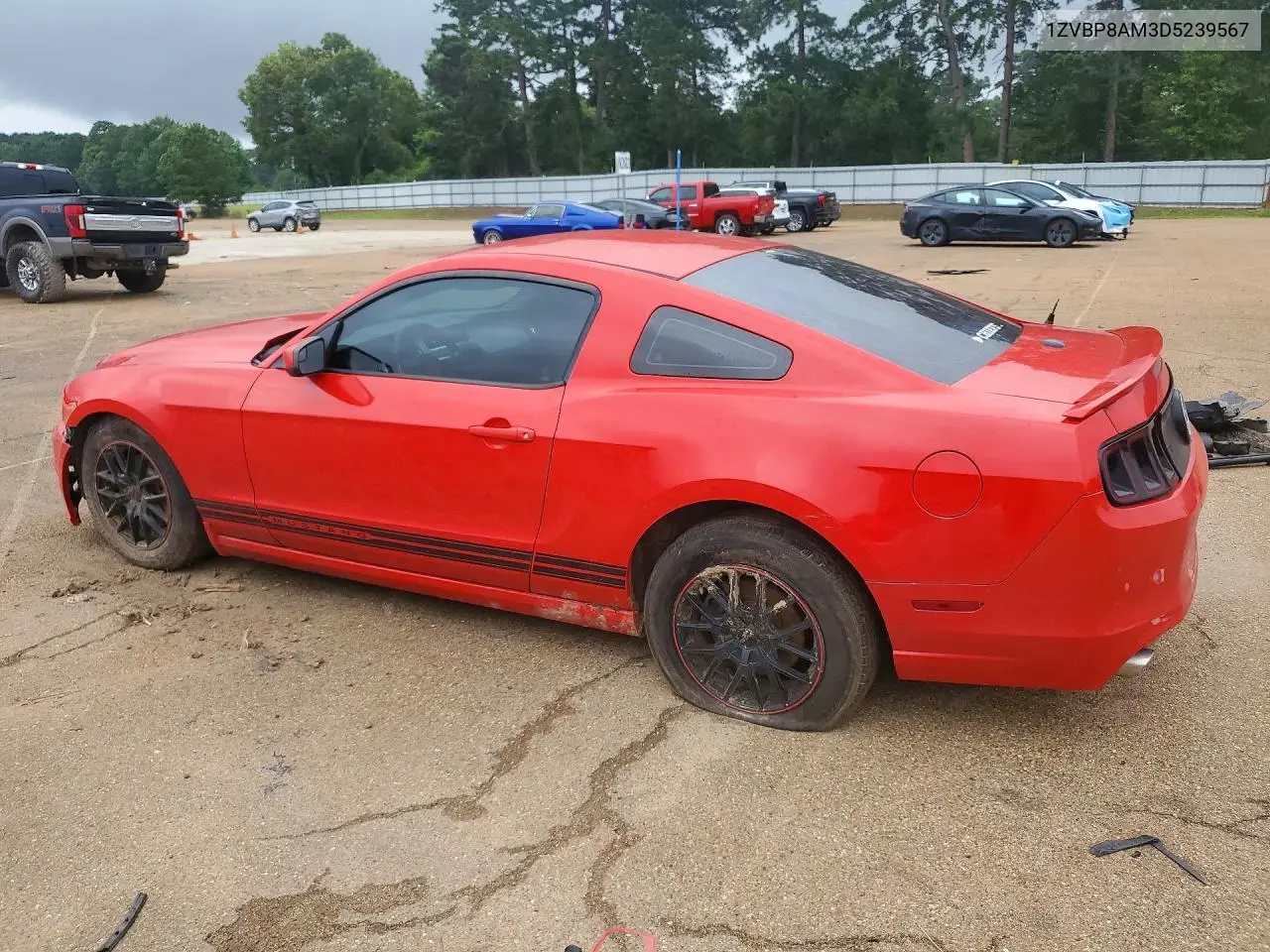 2013 Ford Mustang VIN: 1ZVBP8AM3D5239567 Lot: 56746806