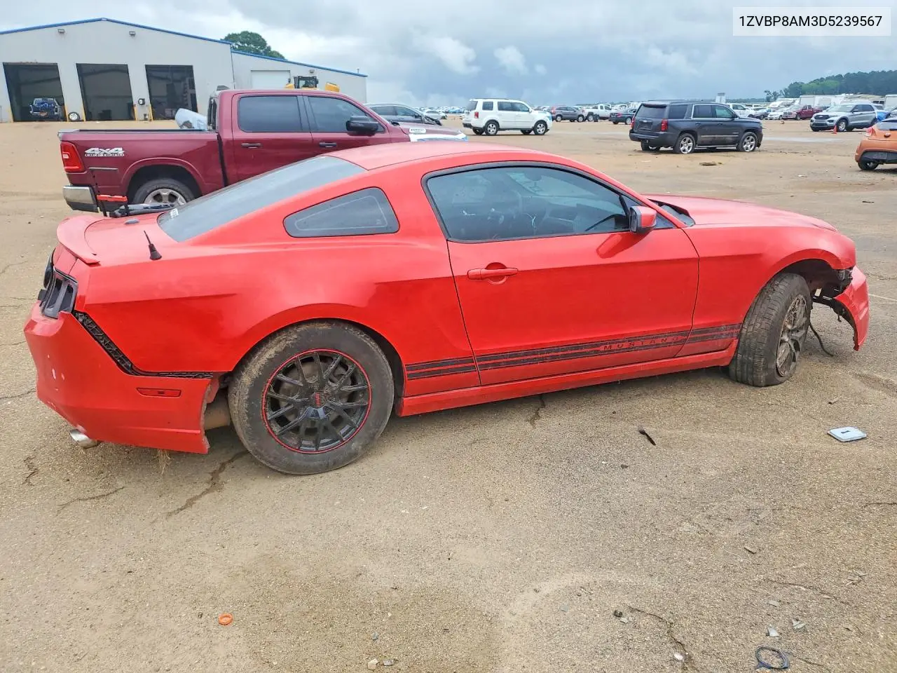 2013 Ford Mustang VIN: 1ZVBP8AM3D5239567 Lot: 56746806