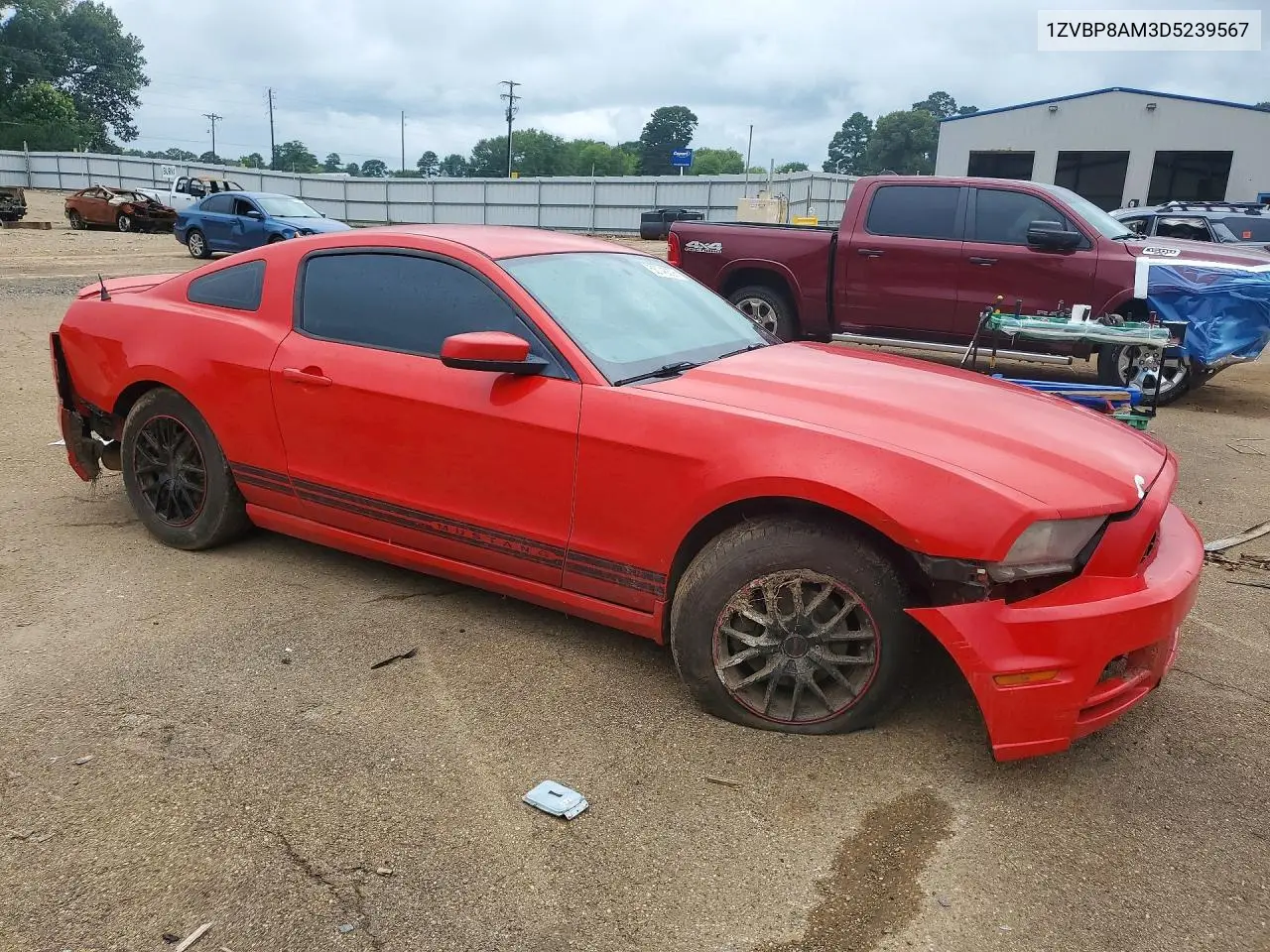 2013 Ford Mustang VIN: 1ZVBP8AM3D5239567 Lot: 56746806