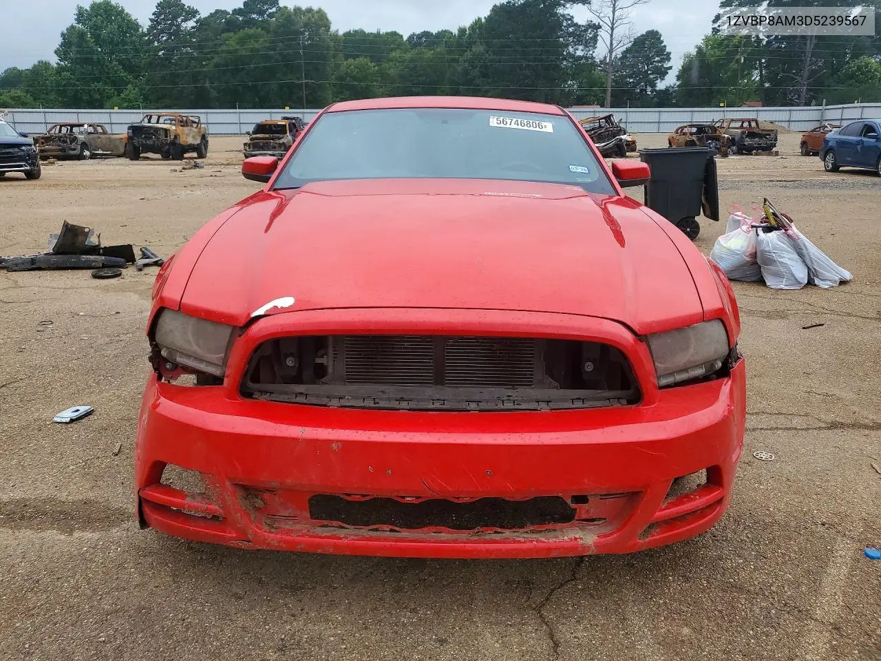 2013 Ford Mustang VIN: 1ZVBP8AM3D5239567 Lot: 56746806