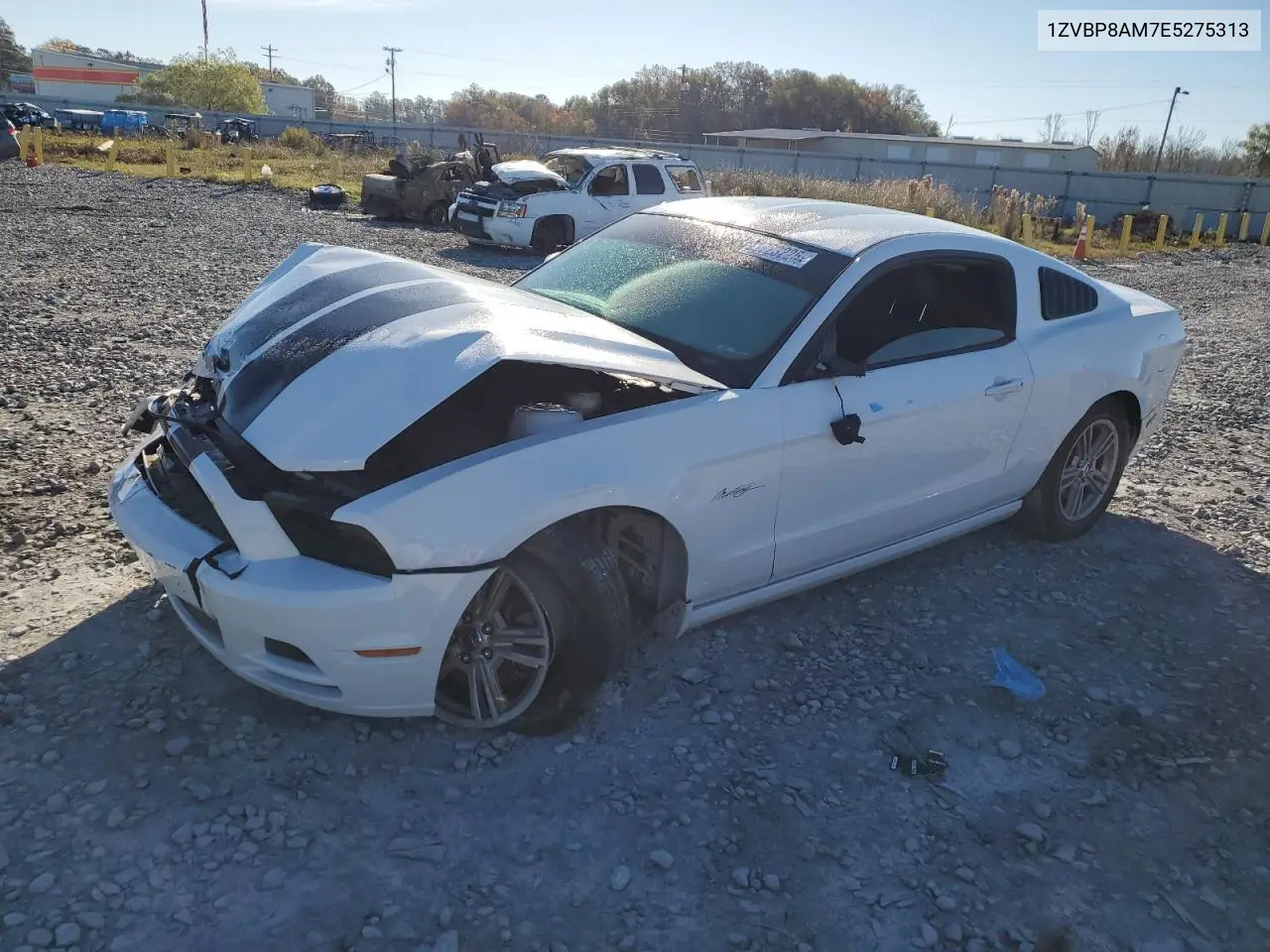 1ZVBP8AM7E5275313 2014 Ford Mustang