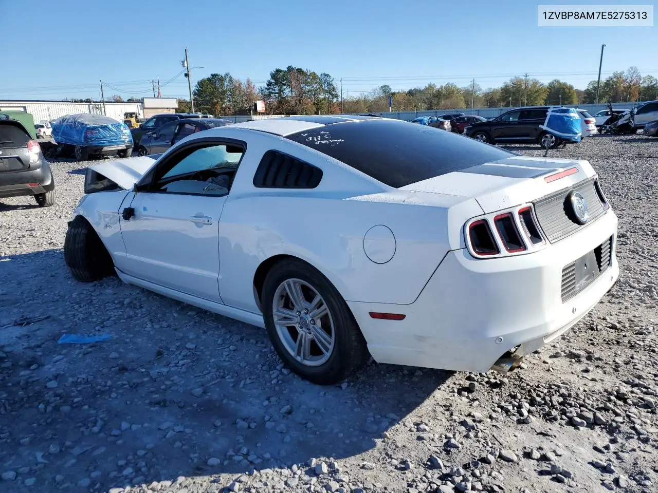 1ZVBP8AM7E5275313 2014 Ford Mustang