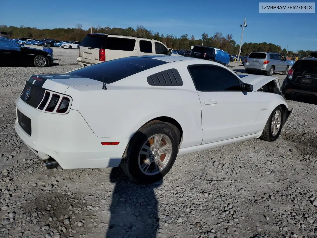 1ZVBP8AM7E5275313 2014 Ford Mustang