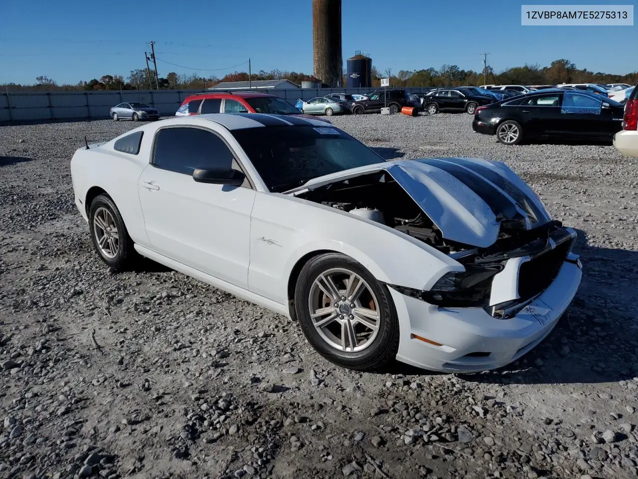 1ZVBP8AM7E5275313 2014 Ford Mustang