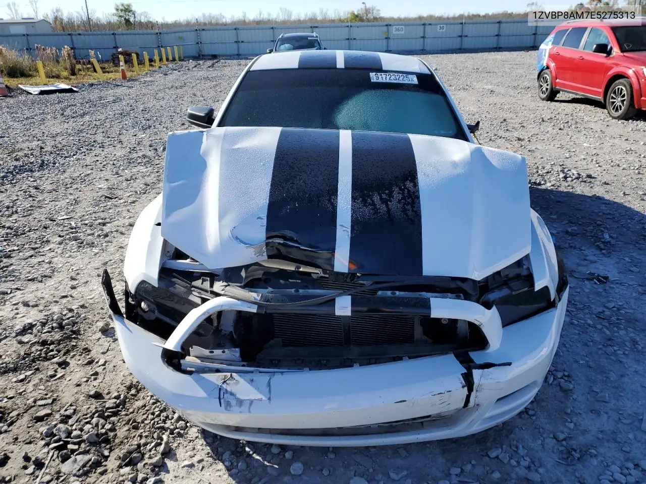 1ZVBP8AM7E5275313 2014 Ford Mustang