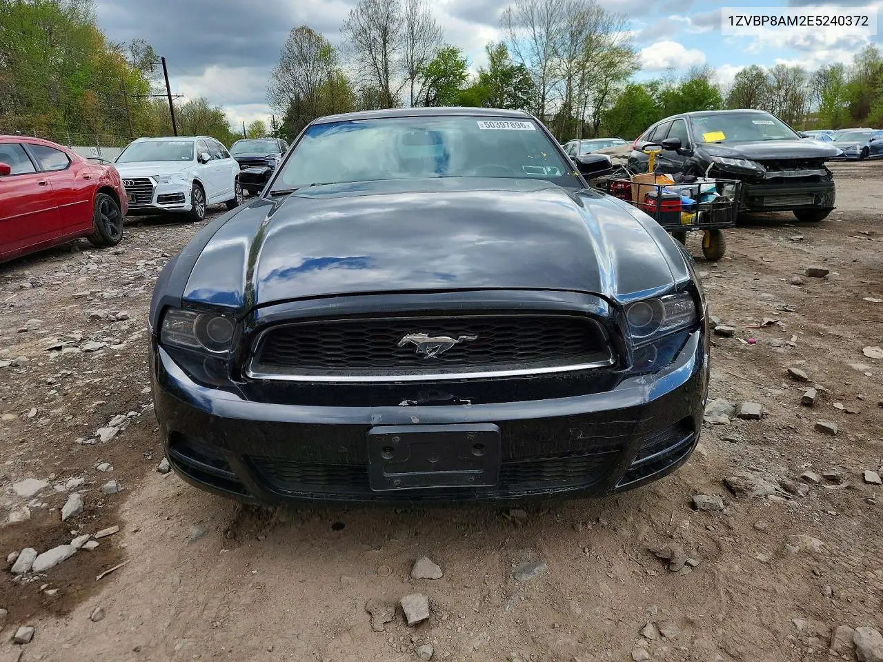 1ZVBP8AM2E5240372 2014 Ford Mustang