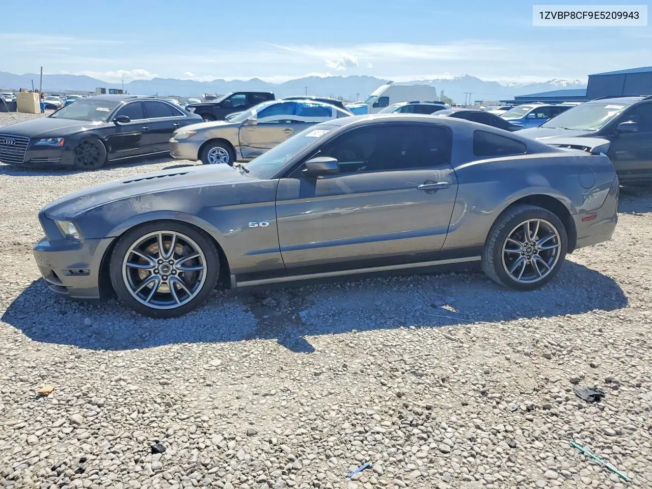 1ZVBP8CF9E5209943 2014 Ford Mustang Gt