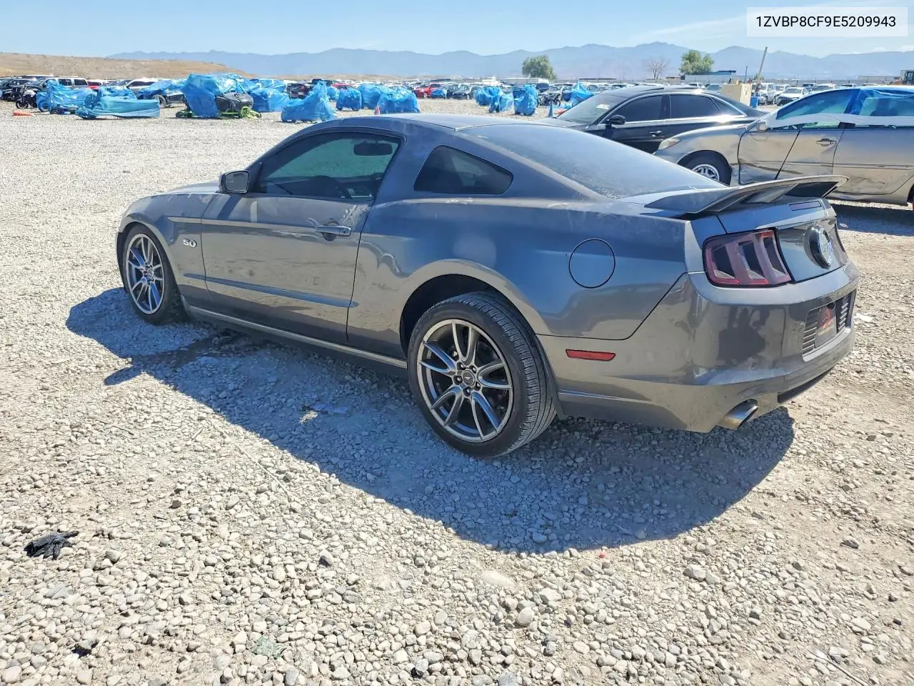 1ZVBP8CF9E5209943 2014 Ford Mustang Gt