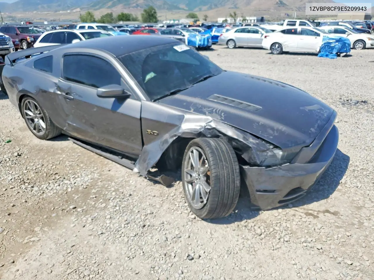 1ZVBP8CF9E5209943 2014 Ford Mustang Gt