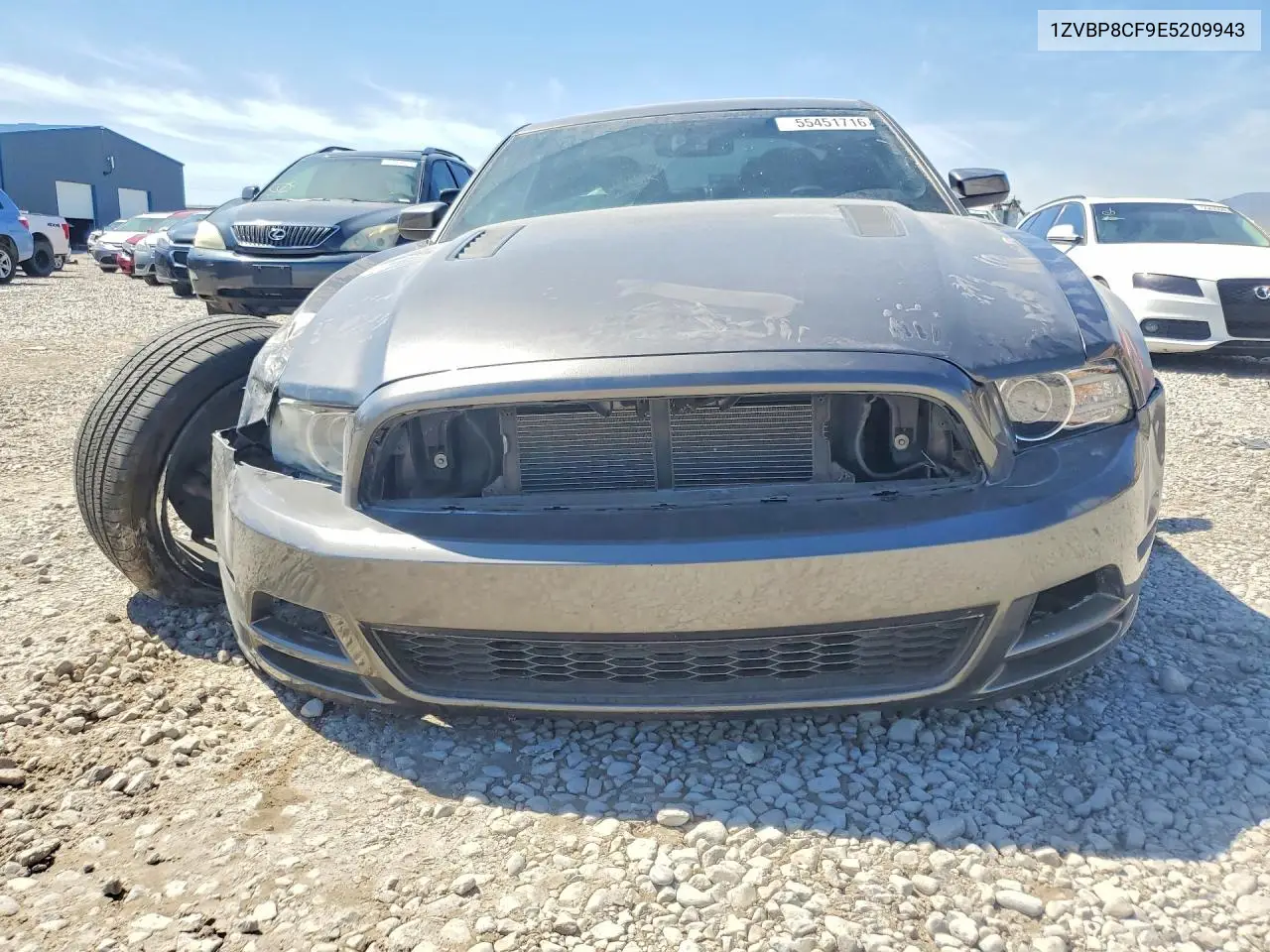 1ZVBP8CF9E5209943 2014 Ford Mustang Gt
