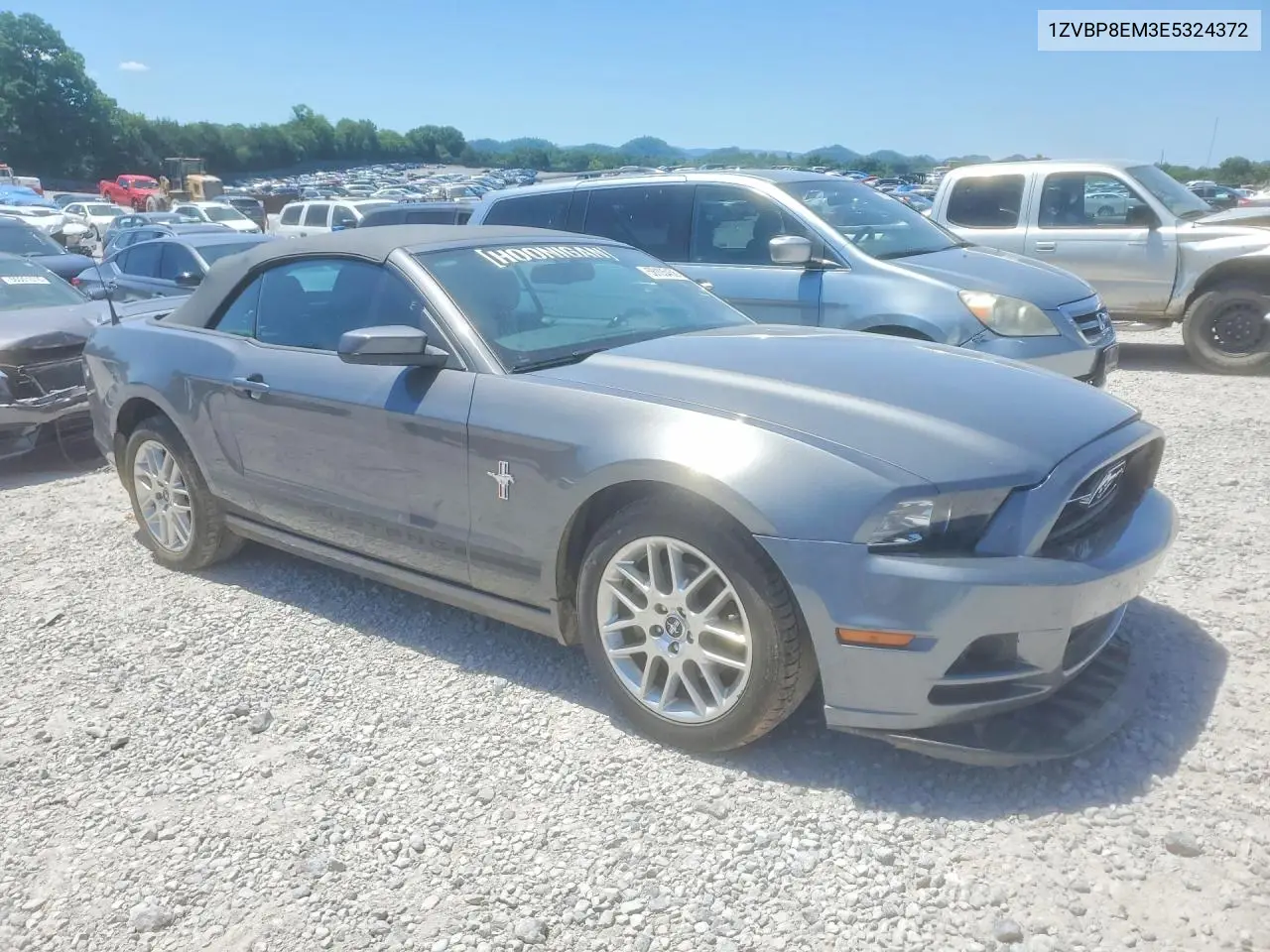 2014 Ford Mustang VIN: 1ZVBP8EM3E5324372 Lot: 56105456