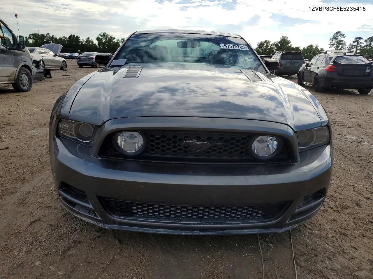 2014 Ford Mustang Gt VIN: 1ZVBP8CF6E5235416 Lot: 57529786