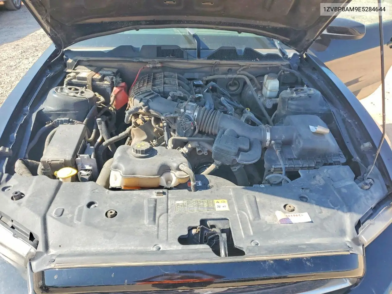 1ZVBP8AM9E5284644 2014 Ford Mustang