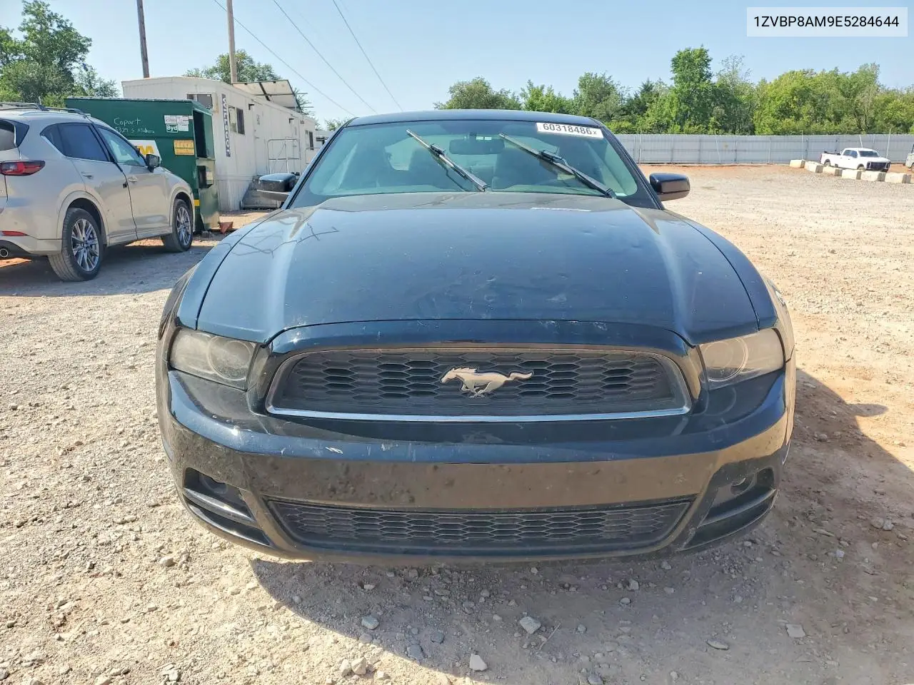 1ZVBP8AM9E5284644 2014 Ford Mustang