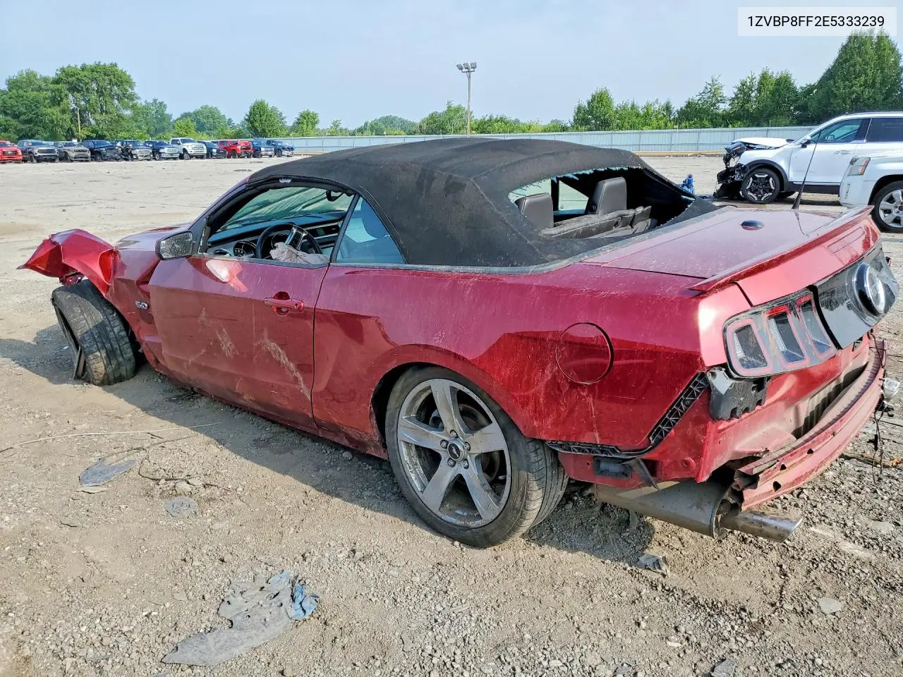 2014 Ford Mustang Gt VIN: 1ZVBP8FF2E5333239 Lot: 60985946