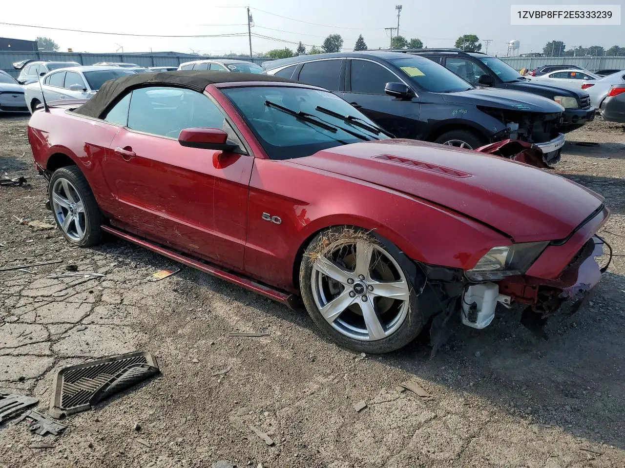 2014 Ford Mustang Gt VIN: 1ZVBP8FF2E5333239 Lot: 60985946