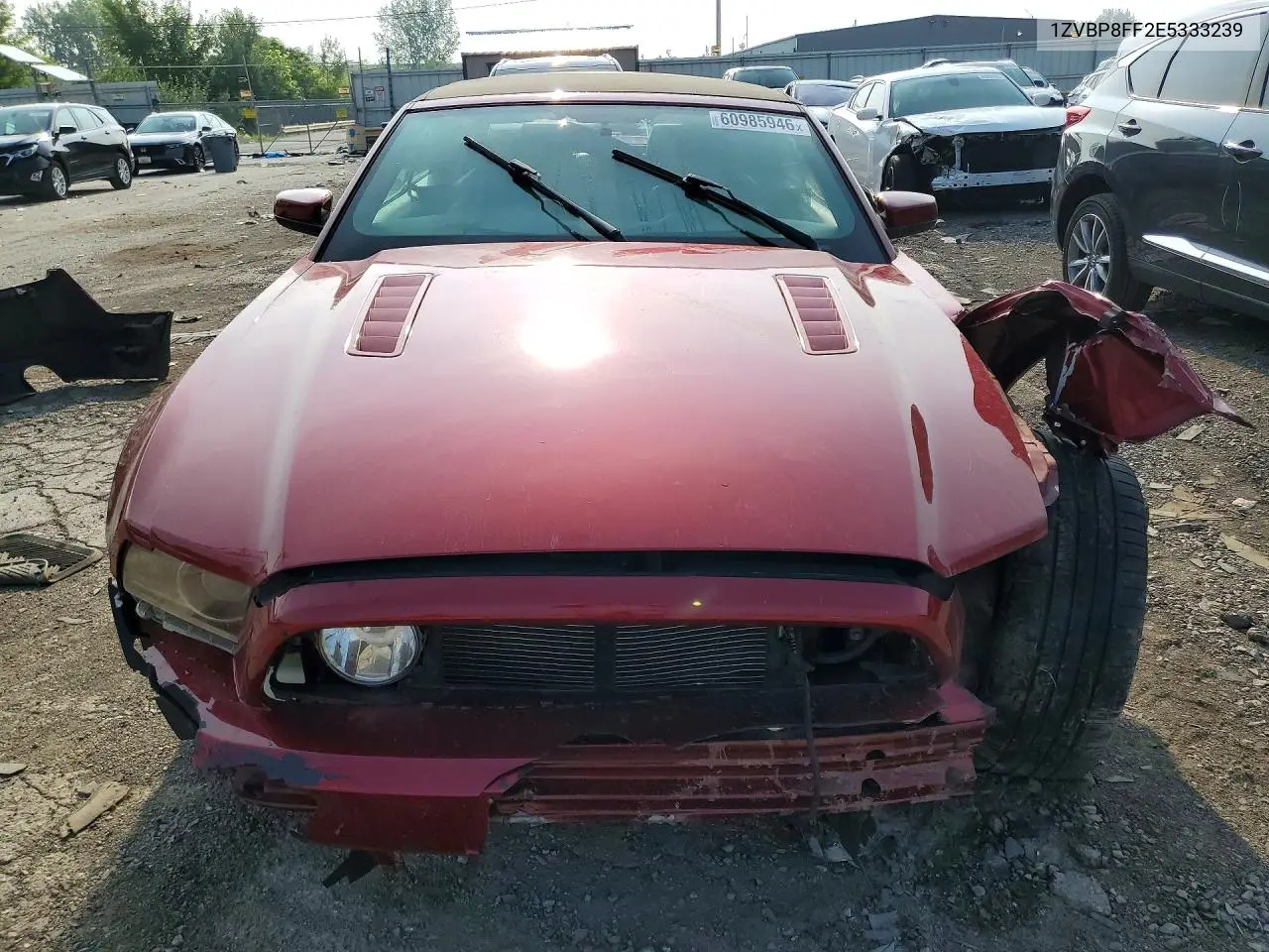 2014 Ford Mustang Gt VIN: 1ZVBP8FF2E5333239 Lot: 60985946