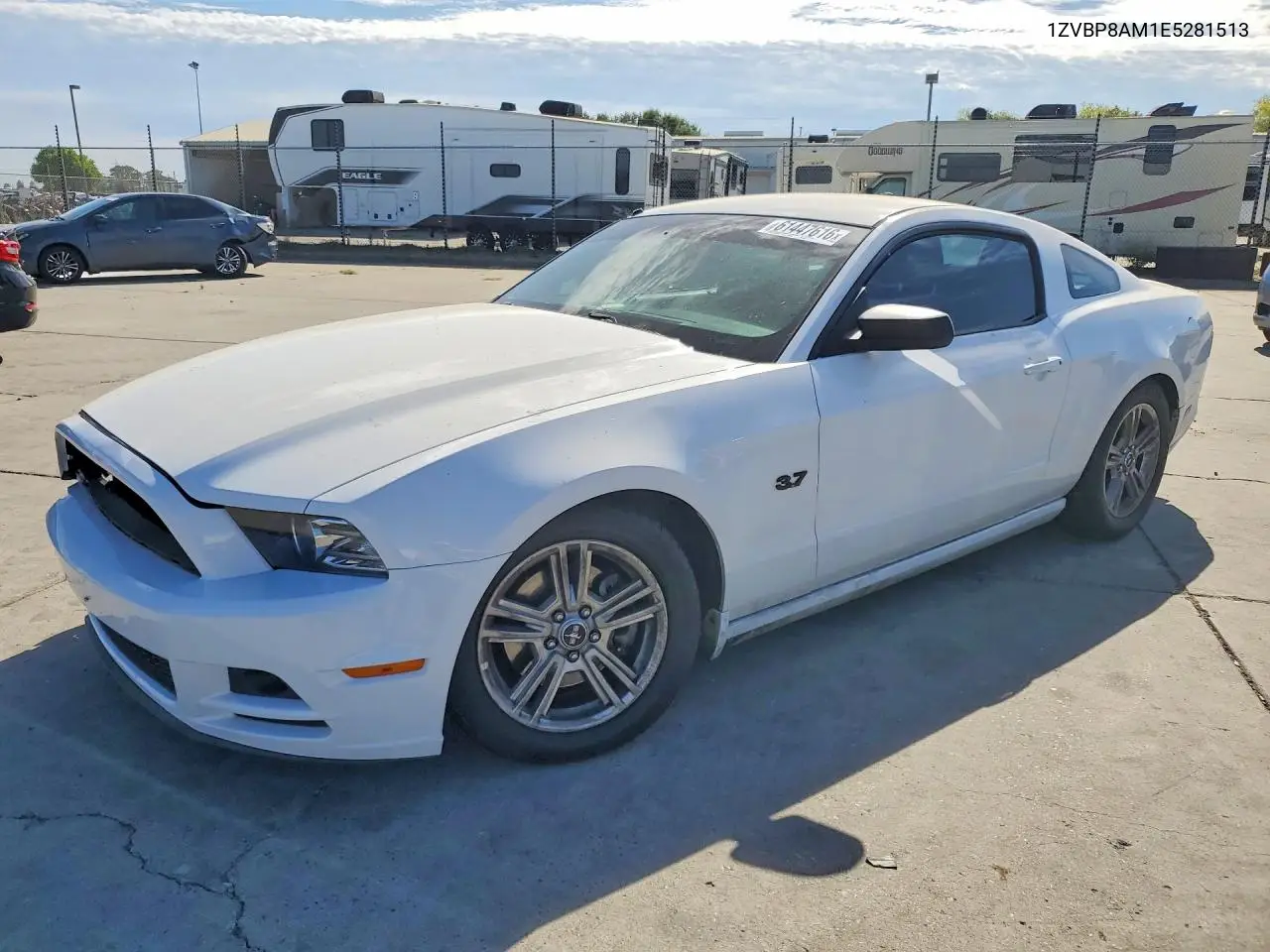 2014 Ford Mustang VIN: 1ZVBP8AM1E5281513 Lot: 61447616